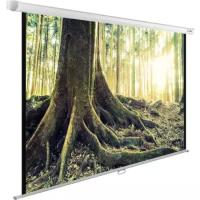 Экран Cactus 220x220см WallExpert CS-PSWE-220x220-WT 1:1 настенно-потолочный рулонный