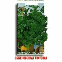 Петрушка Обыкновенная листовая - Семена