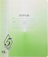 Проф-Пресс (канцтовары) Тетрадь "Великолепно! Пятерка!", А5, 18 листов, клетка, зеленая