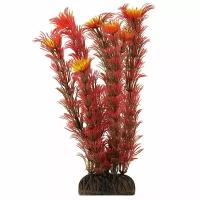 Растение LAGUNA "Амбулия" красная, 200мм