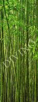 Фотообои Природа "Бамбук" - С-270