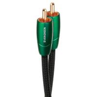 Соединительный кабель AudioQuest EVERGREEN 2RCA-2RCA 0.6 m