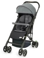 Прогулочная коляска Recaro Easylife Elite 2 Silent Grey