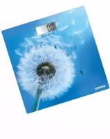 Весы напольные Centek CT-2421 SPRING FLOWER электронные 180кг, 0,1кг, LCD 45x28, размер 26х26см