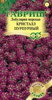 Лобулярия морская (газонница морская) Кристалл Пурпурный 15 штук семян Гавриш