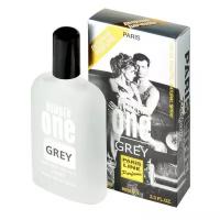 Paris Line Parfums Number One Grey туалетная вода 100 мл для мужчин