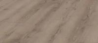 Ламинат Kronotex Mammut + D4727 Дуб горный серый (18м²)