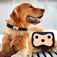 Трекер Pet GPS Tracker для собаки и кошки