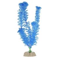Растение GLOFISH флуоресцирующее синее L 20см