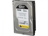 Жесткий диск Western Digital WD2503ABYZ 250Gb SATAIII 3,5" HDD