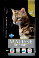 Фармина, Матис ньютрид (MATISSE NEUTERED) (1,5 кг)