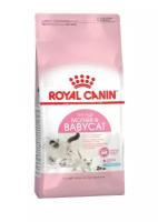 Royal Canin корм для котят и кошек всех пород в период беременности (2 кг)