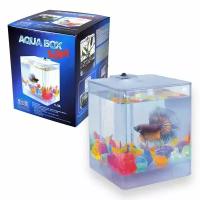 Аквариум для рыб АА-Aquariums Aqua Box Betta А1212, 12*12*14,5см (0.5 кг)