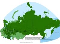 Карта Garmin Дороги России. РФ. ТОПО