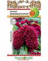 Цветы Целозия Вишневый коралл (60шт)