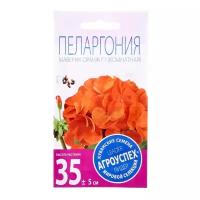 Семена комнатных цветов Пеларгония Маверик Оранж, 4 шт