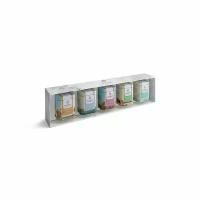 Набор листового чая The East India Company Speciality loose-leaf tea caddy gift set of five, 2 шт