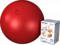 Мяч гимнастический Альпина Пласт "Фитбол Стандарт", красный, 65 см