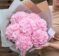 Букет Гортензия розовая., красивый букет цветов, шикарный, премиум букет