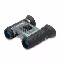 Бинокль STEINER BluHorizons 10x42 AutoBright™