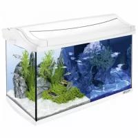 Tetra AquaArt Discover Line Аквариумный комплекс, белый 60 л