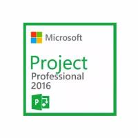 Microsoft Project Professional 2016