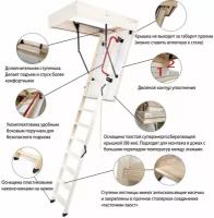 Чердачная лестница Oman Polar 700*1200*2800 (70*120 см)