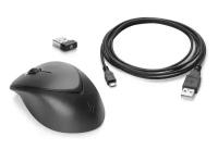 Мышь HP Wireless Premium Mouse (1JR31AA) Black