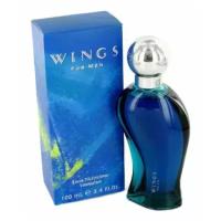 Beverly Hills Wings for Men туалетная вода 100мл