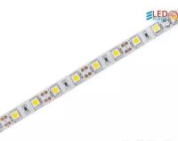 Светодиодная лента LEDS POWER LP 5050/60