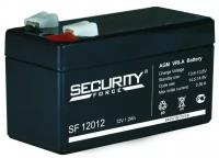 Герметичный аккумулятор Security Force SF 12012