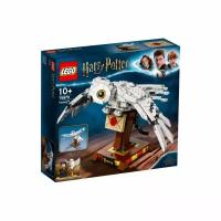 Конструктор Lego Harry Potter 75979 Конструктор LEGO Harry Potter 75979 Букля