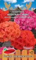 Пеларгония Мулатка микс F1