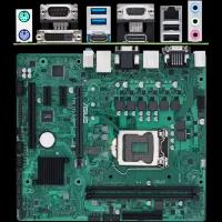 Материнская плата ASUS Pro H510M-C/CSM H510 Socket-1200 2xDDR4, 4xSATA3, 1xM.2, 1xPCI-E16x, 2xUSB3.2, D-Sub, DVI-D, DP, HDMI, Glan, mATX