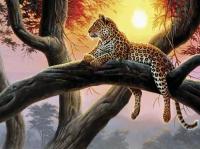Фотообои "Леопард на дереве" на бумажной основе с бумажным покрытием. Арт.33286