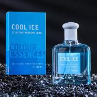 TODAY PARFUM Туалетная вода мужская Colour ssncs Cool Ic, 100 мл (по мотивам Versace Man Eau Fraiche)