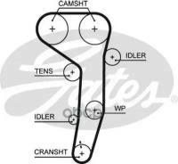 (8597-15607) Ремень Грм Gates арт. 5607XS