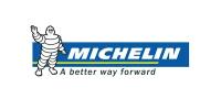 MICHELIN 411228 Michelin 275/50 R22 X-ICE SNOW SUV 115H