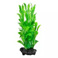 Растение аквариумное Hygrophila (L) 30см. с утяжелителем