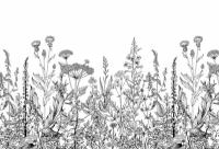 Фотообои Уютная стена "Луговые травы" 400х270 см Виниловые Бесшовные (единым полотном)