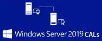 Microsoft ПО Microsoft Windows Server CAL 2019 Rus 1pk DSP OEI 5 Clt Device CAL lic (R18-05838)