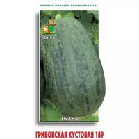 Тыква твердокорая Грибовская кустовая 189 - Семена