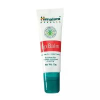 Бальзам для губ Гималая (Himalaya Herbals) 10 гр