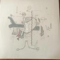 Рок WM VARIOUS ARTISTS, TINY CHANGES: A CELEBRATION OF FRIGHTENED RABBIT'S 'THE MIDNIGHT ORGAN FIGHT' (Limited 180 Gram Black Vinyl)