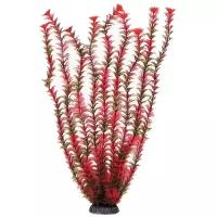 Искусственные водоросли Triol Растение Амбулия 5574P пластик красный 55см Ар1250