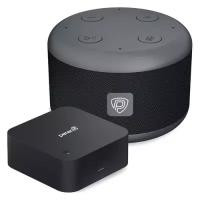 Умная колонка Prestigio SmartVoice, 3Вт, с голосовым помощником Маруся, серый / черный [pss105m_dg_petra01]