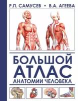 Агеева В.А. "Большой атлас анатомии человека"