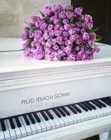 Большой букет тюльпанов на белом пианино
