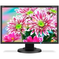 Монитор NEC MultiSync E223W 22' Black