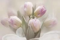 Фотообои Тюльпаны акварель 275x413 (ВхШ), бесшовные, флизелиновые, MasterFresok арт 13-603